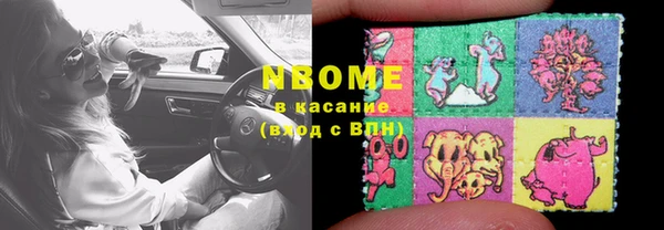 стаф Алзамай