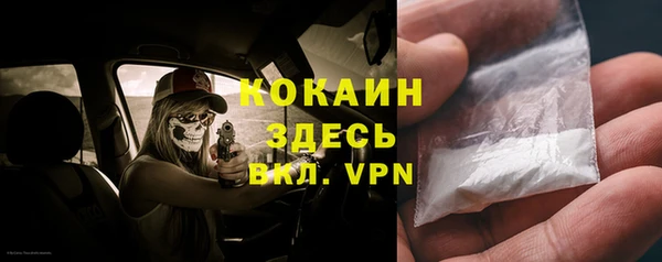 стаф Алзамай