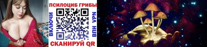Псилоцибиновые грибы мицелий  даркнет сайт  Аткарск 
